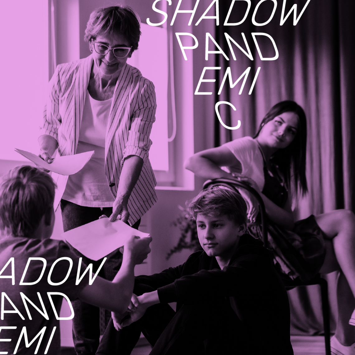 Shadow Pandemic Workshop